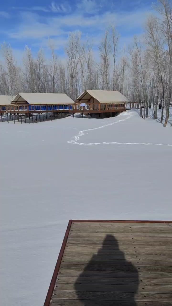 Лаванда