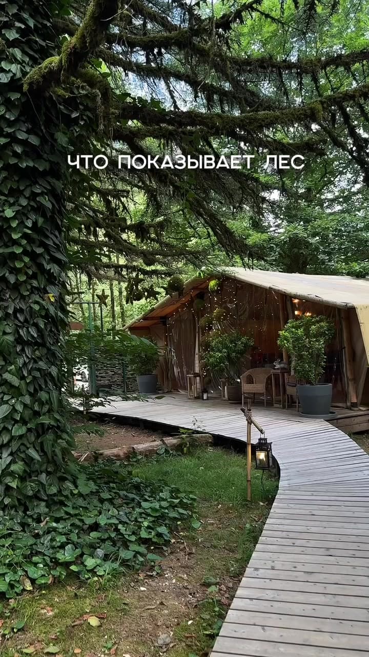 ЛЕС Глэмпинг и Спа