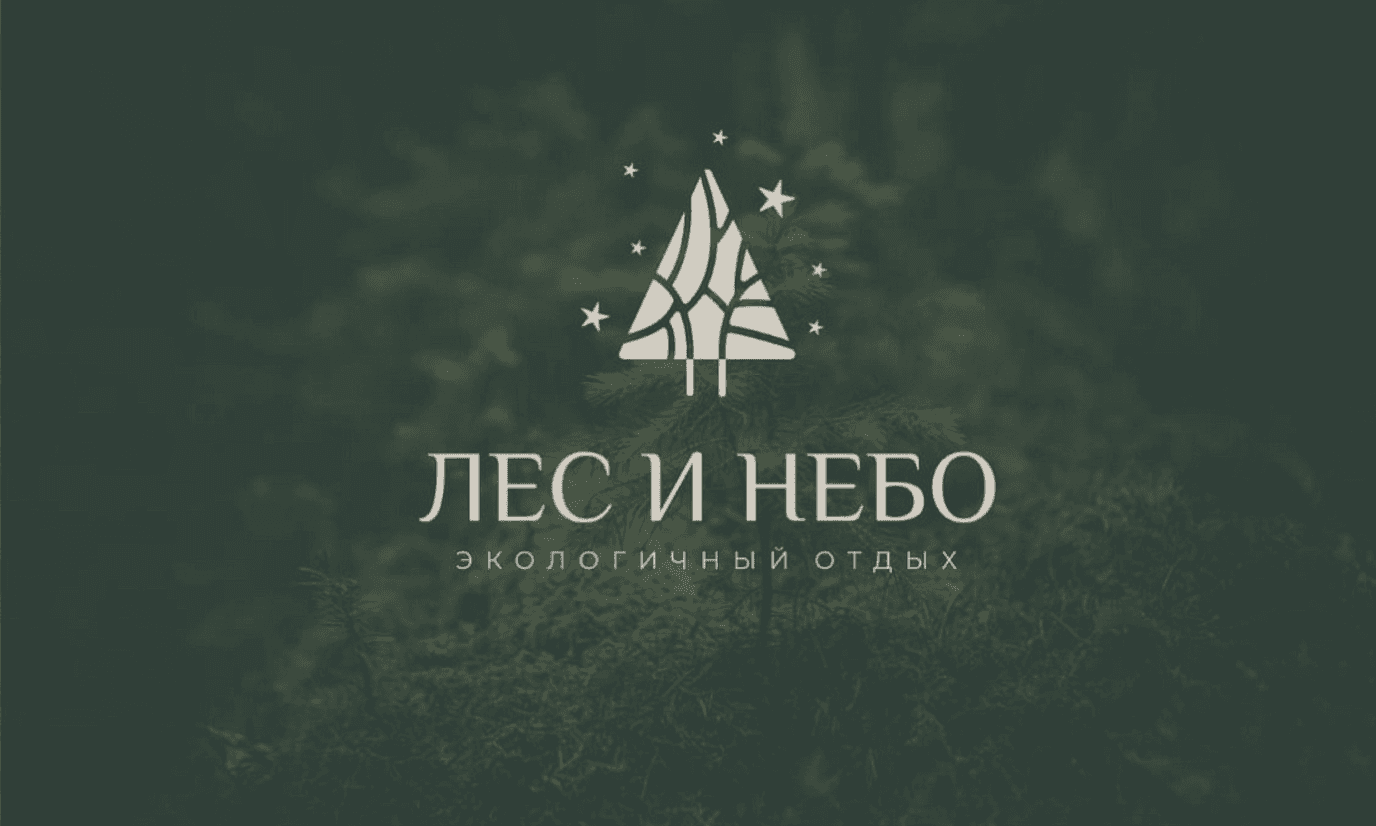 Лес и небо