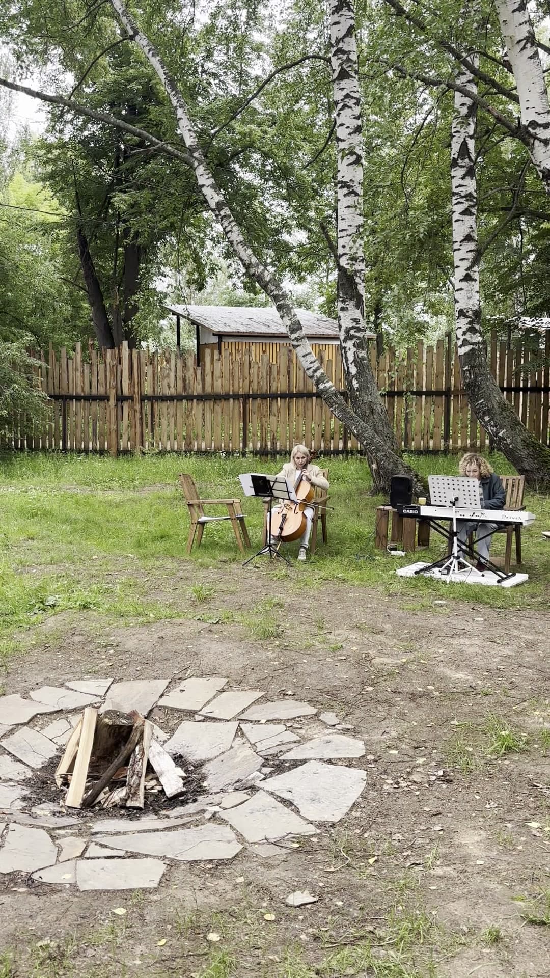 Лес Река