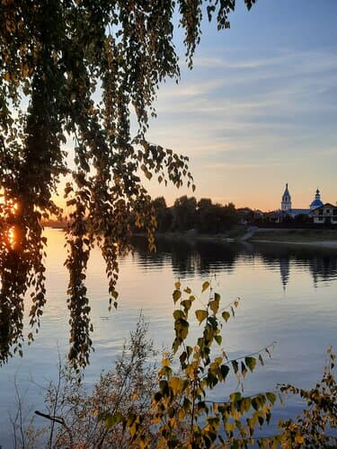 Лес Река