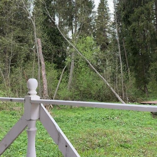 Лесная тропа