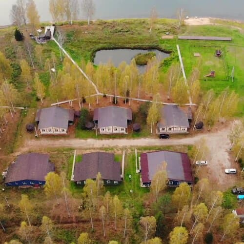 Лесной берег