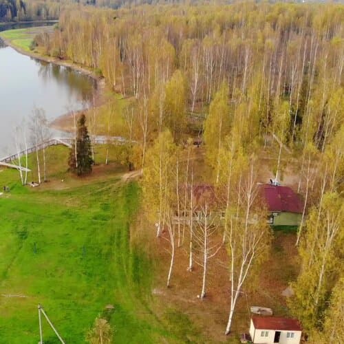 Лесной берег