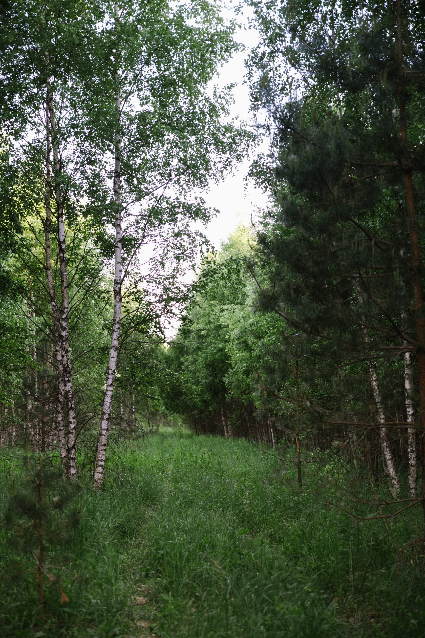 Луно