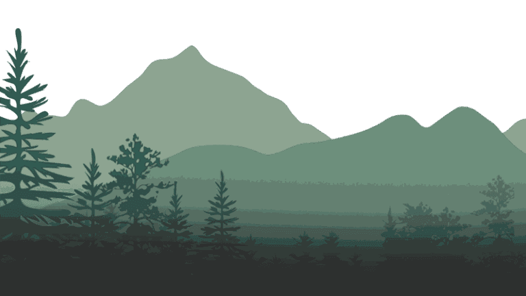 Magic Forest