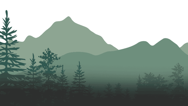 Magic Forest