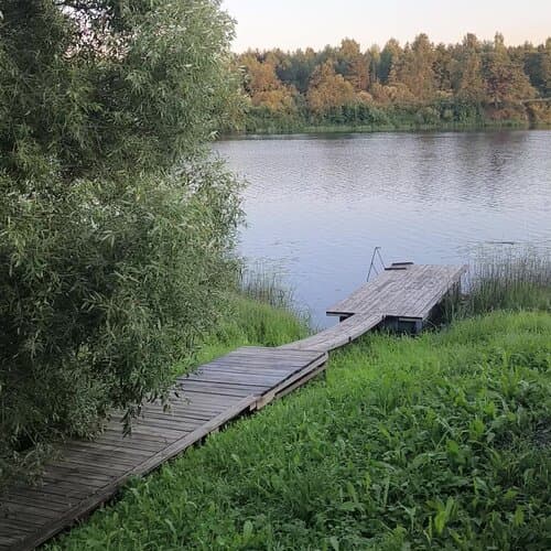 Медведица Шанти