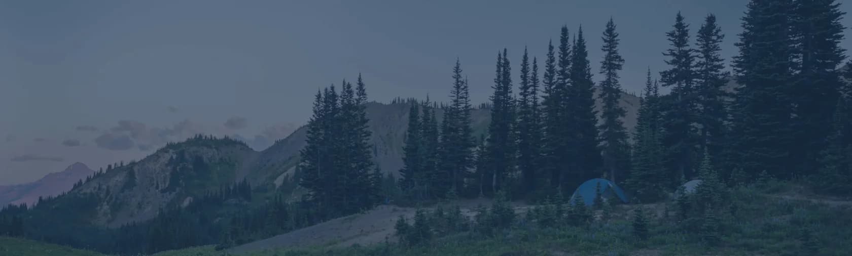 Moon Glamp