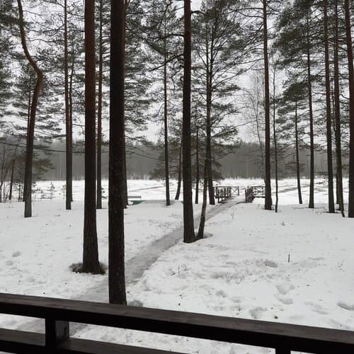 Морошка Эко Вилладж