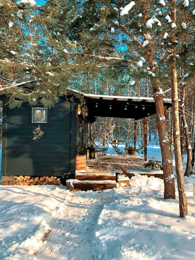 Можжевельник
