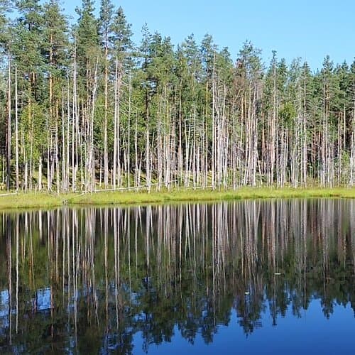 База отдыха Mystic Hills
