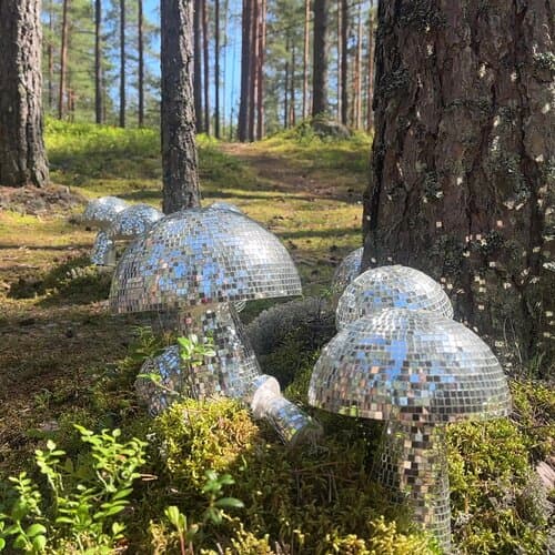 База отдыха Mystic Hills