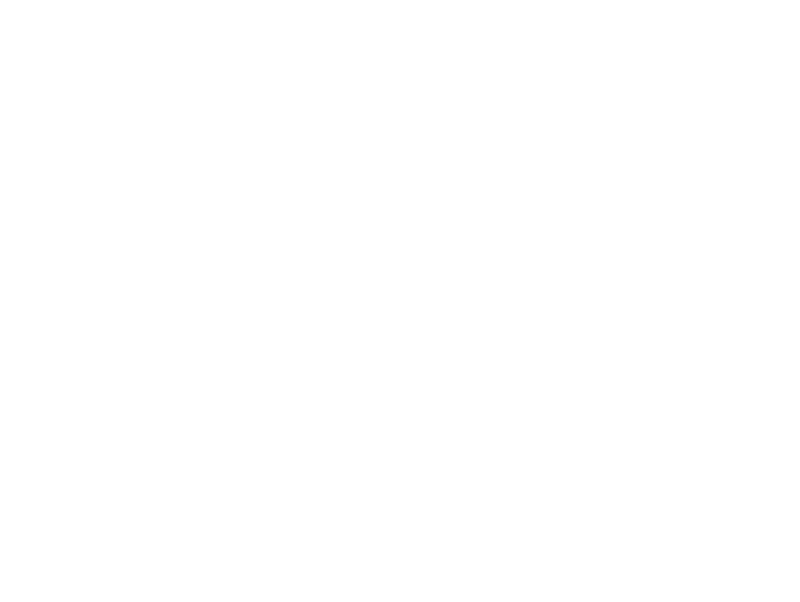 New Camp Эссойла