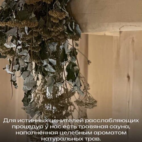 Парк-отель Ая
