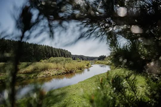 Глэмпинг Парк-отель Тутань