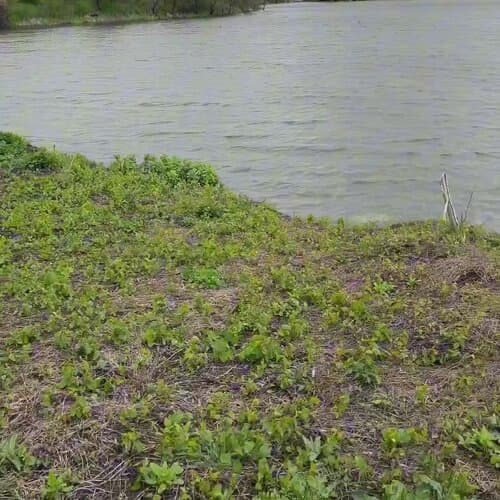 Приозёрье
