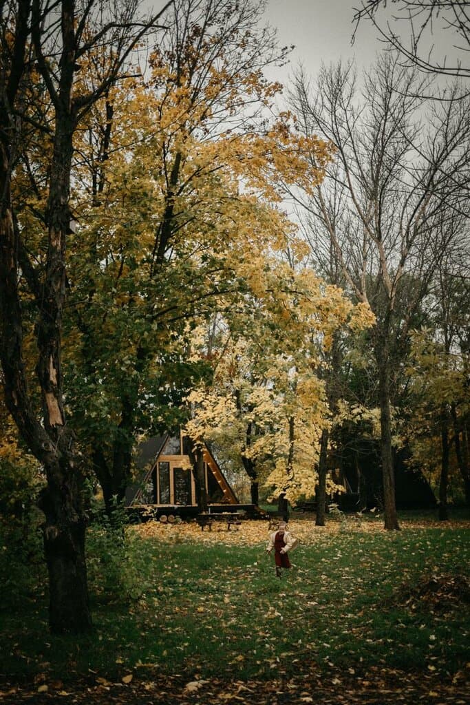 Просто Лес