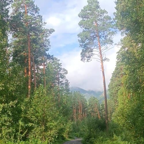 Рафт Премьер