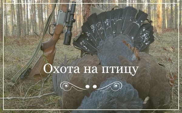 Раздобарино