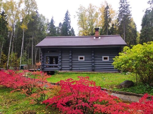Гостиница Романов Лес