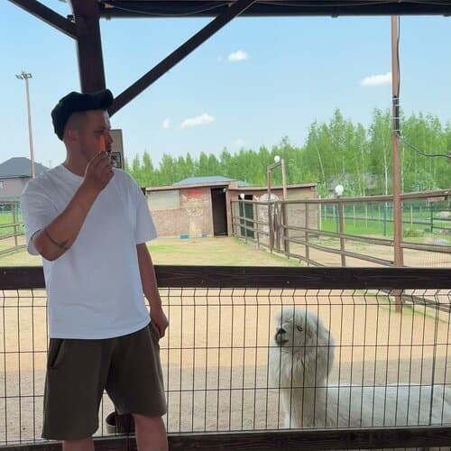 Российские альпаки