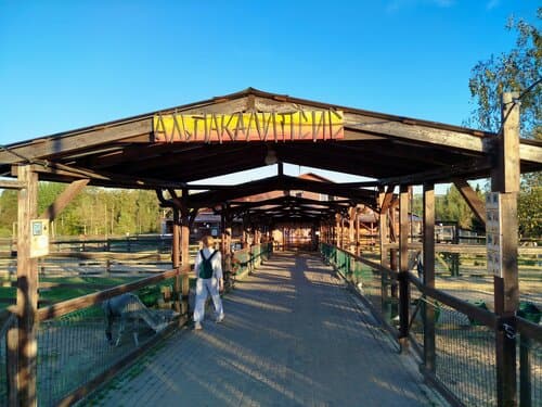 Российские альпаки