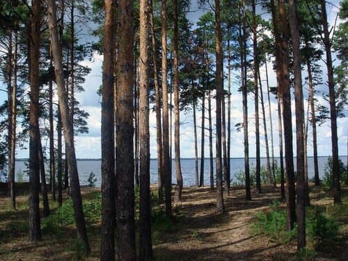 Рыбинка