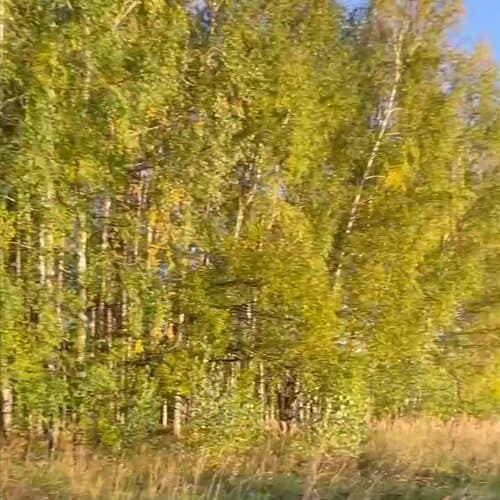 Sova Glemp-House