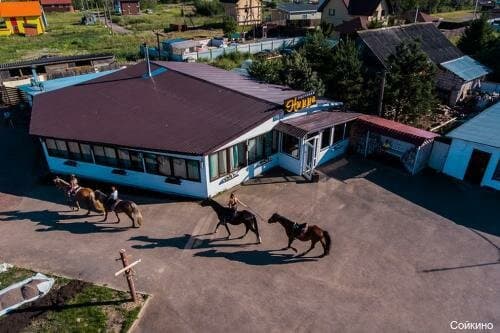 Sova (Сова Сойкино)