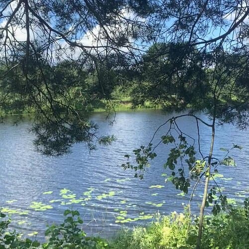 Страна семи сов