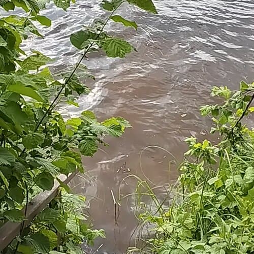 Страна семи сов