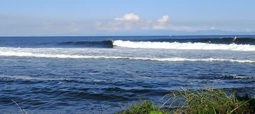 Surf Camp Swell