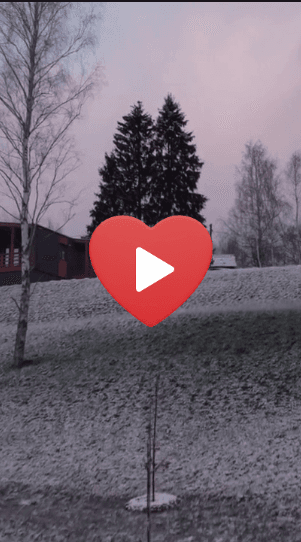 Там где сердце