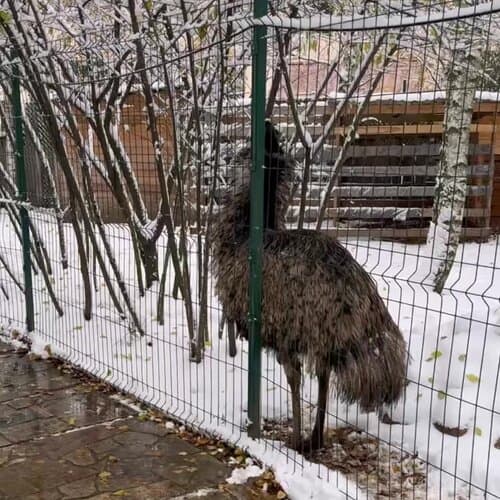 Таежный Мини-отель