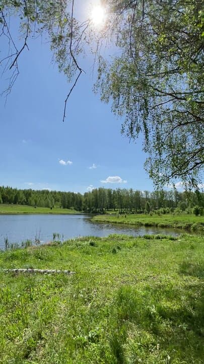 Терруар