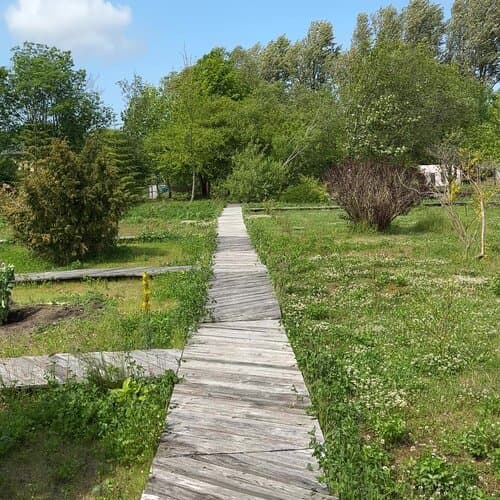 Тихая Гавань