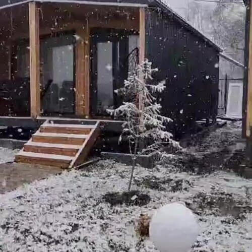 Василиса Хаус