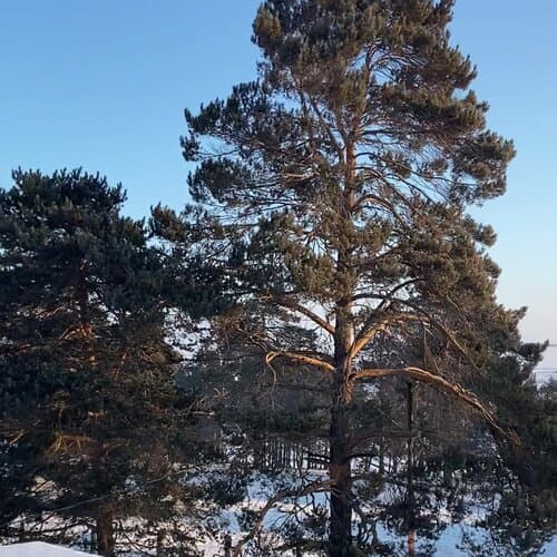 Villa Malina Ольхон