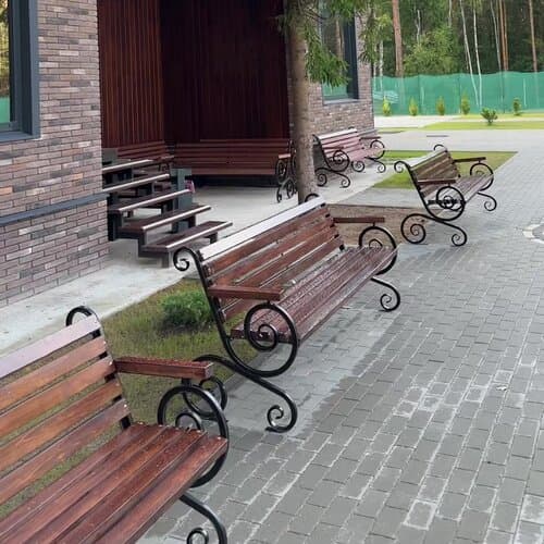 Вино и сосны