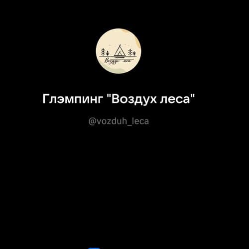 Воздух Леса