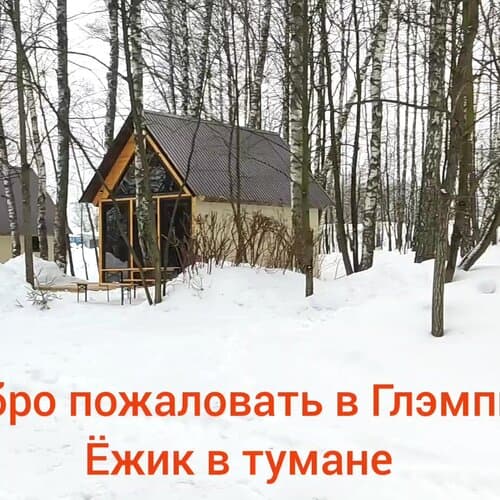 Ёжик в тумане