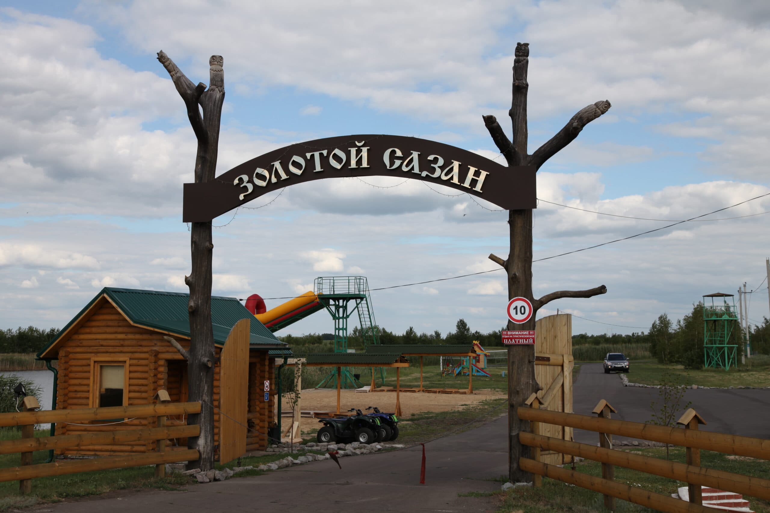 Золотой сазан