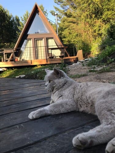 Белкин дом — a-frame в Алтайском крае