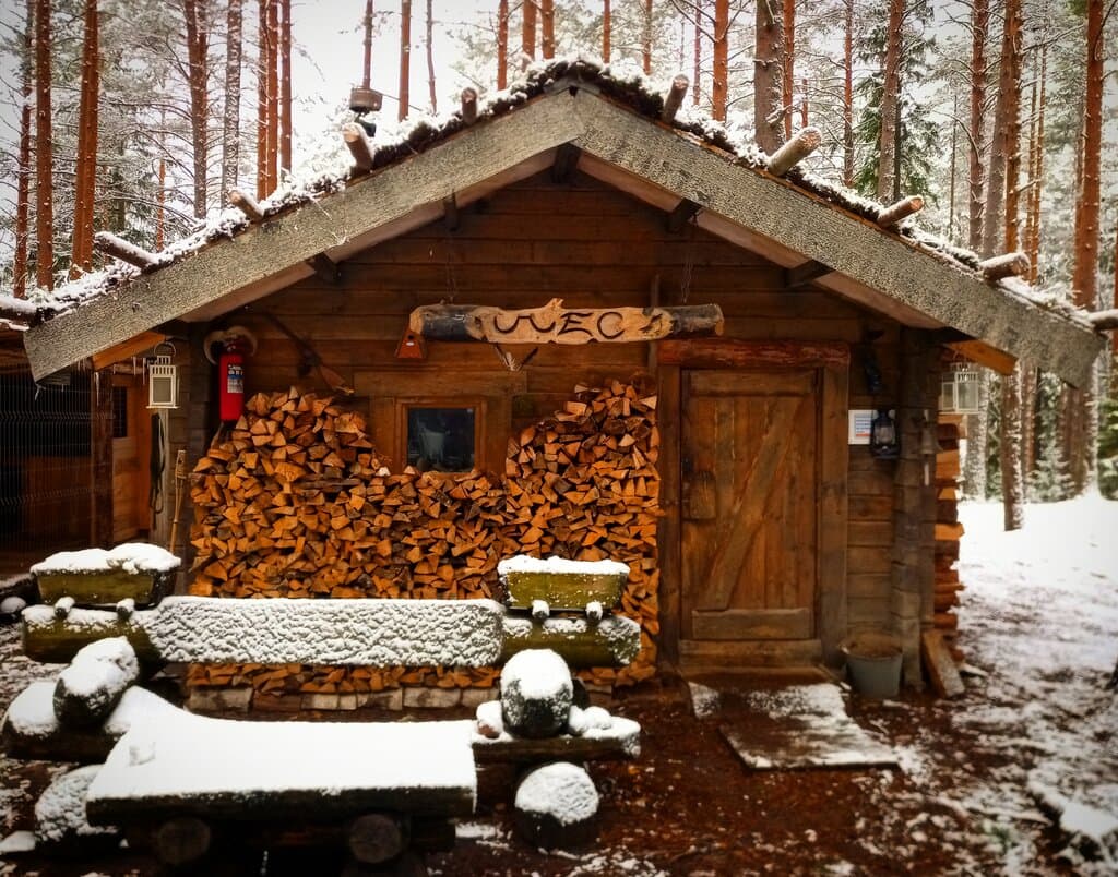 Экоотель Лес — глэмпинг в Ленинградской области