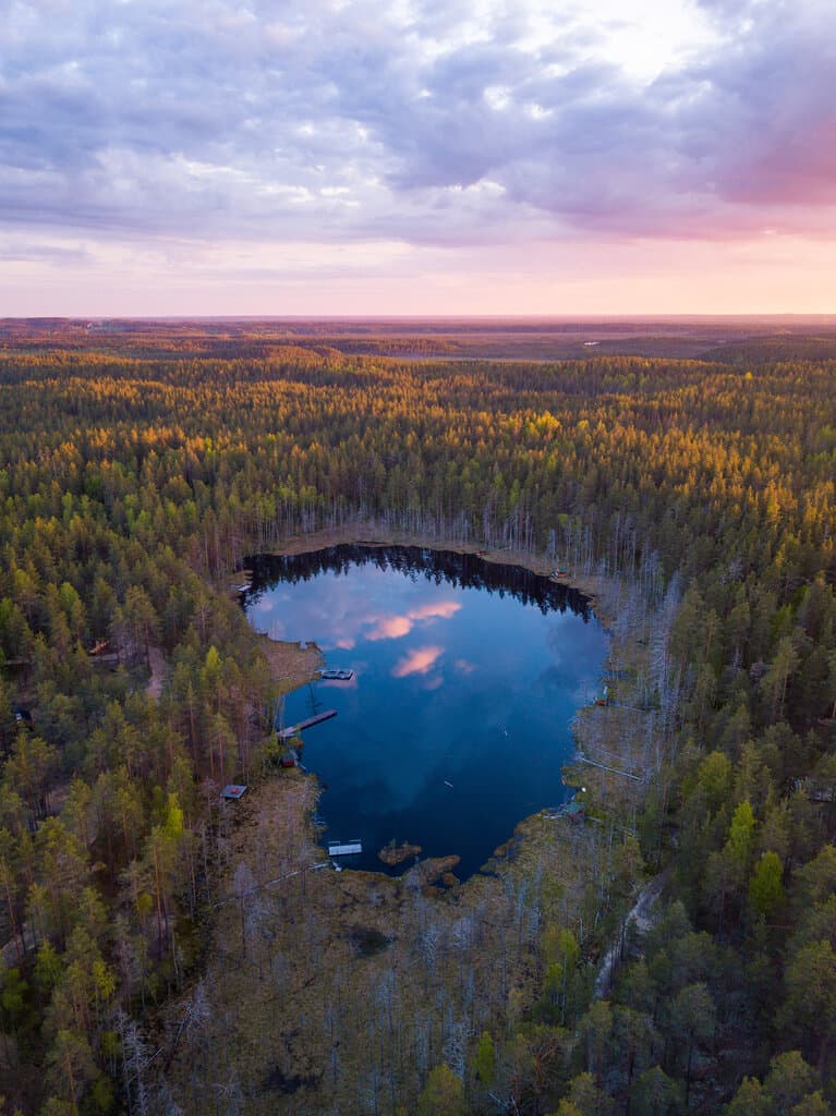 Forest lake — зеркальный дом в Ленинградской области