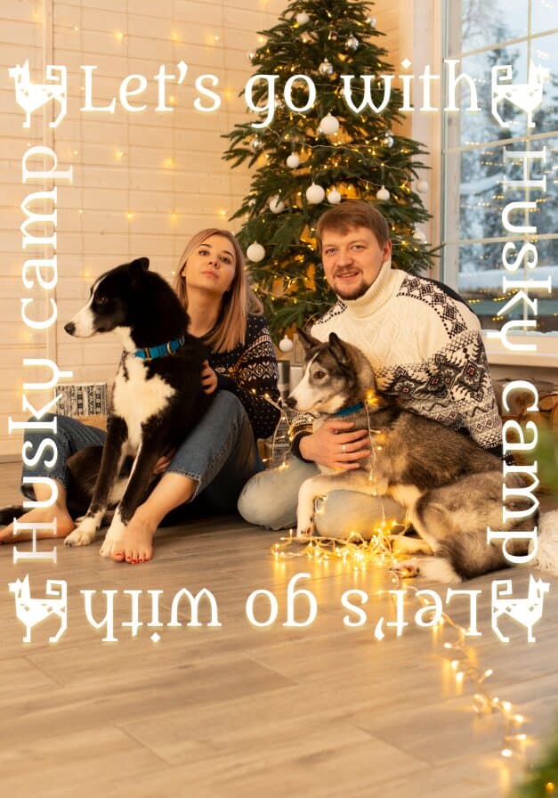 Хаски Кэмп — купол в Мурманской области