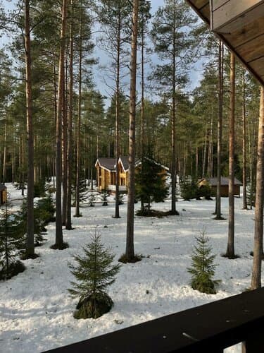 Морошка Эко Вилладж — глэмпинг в Ленинградской области