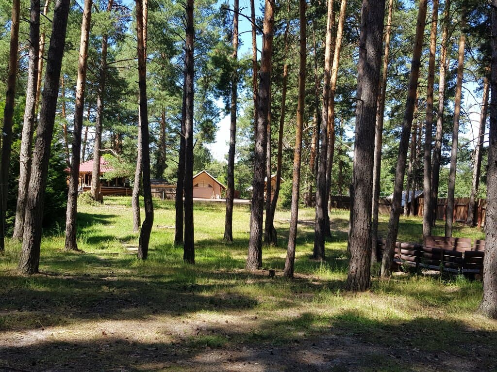 Сарин — шатёр в Республика Мордовия