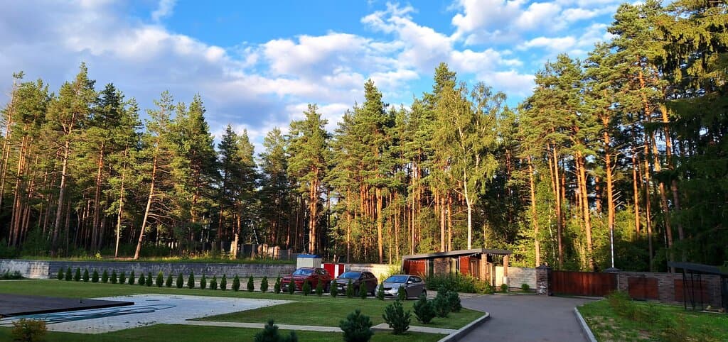 Вино и сосны — шале в Владимирской области